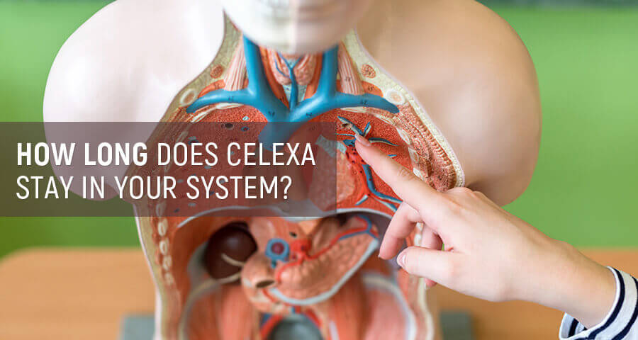how long does it take for celexa to get out of your system