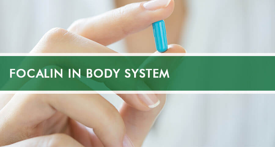 How long does Focalin stay in your system?