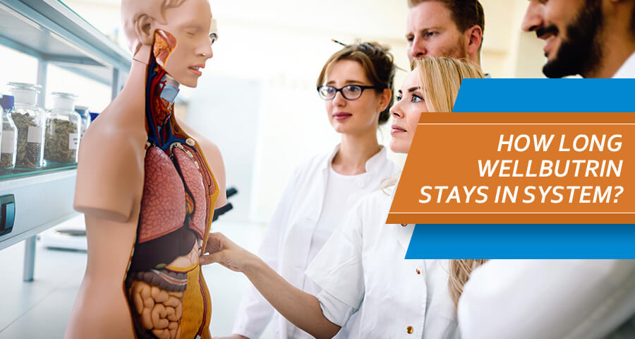 Medical students learn How Long Wellbutrin Stays In System