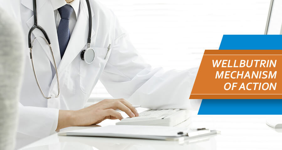 Doctor is studying Wellbutrin Mechanism Of Action