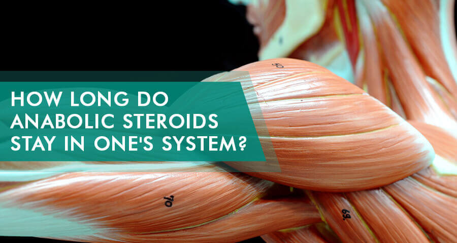 how long do steroids stay in your system