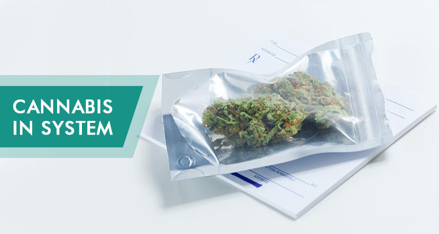 how long weed stays in system