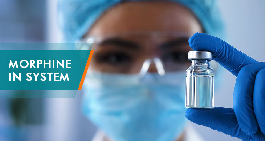 how long morphine stays in system