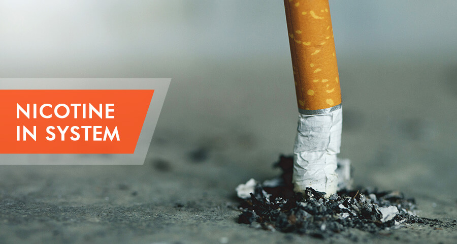 how long nicotine stays in system