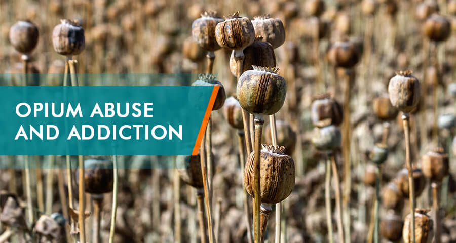 opium addiction