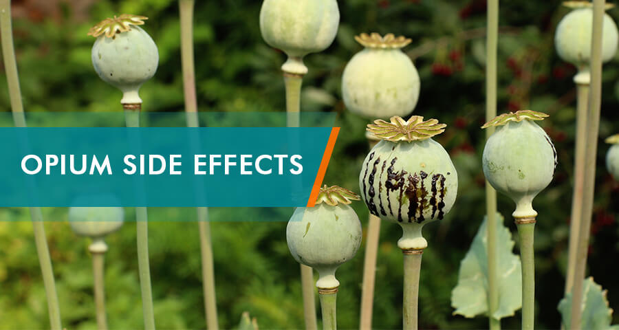 opium side effects