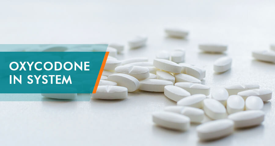 how long oxycodone stays in system