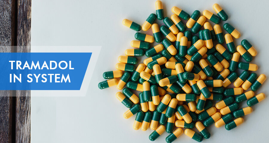 how long tramadol stays in system