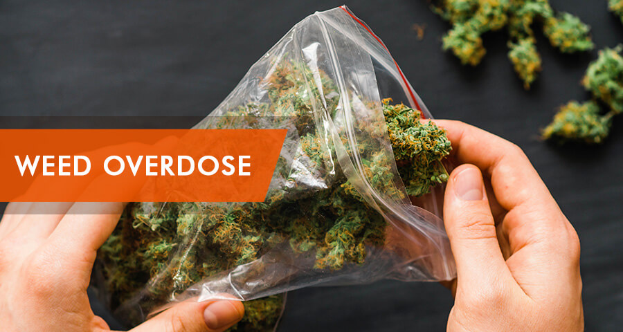 cannabis overdose