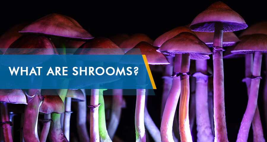 Shrooms