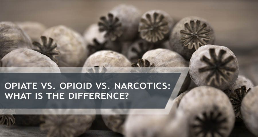 opiate vs. opioid vs. narcotics What Is The Difference