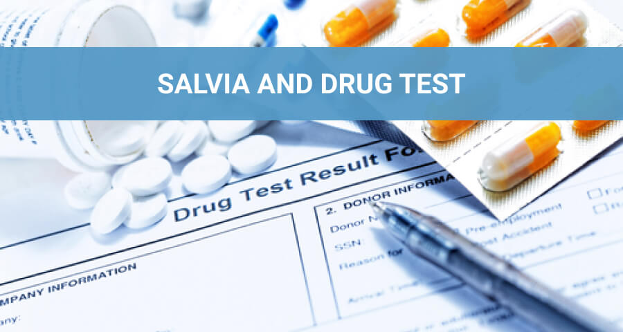 drug test results sheet