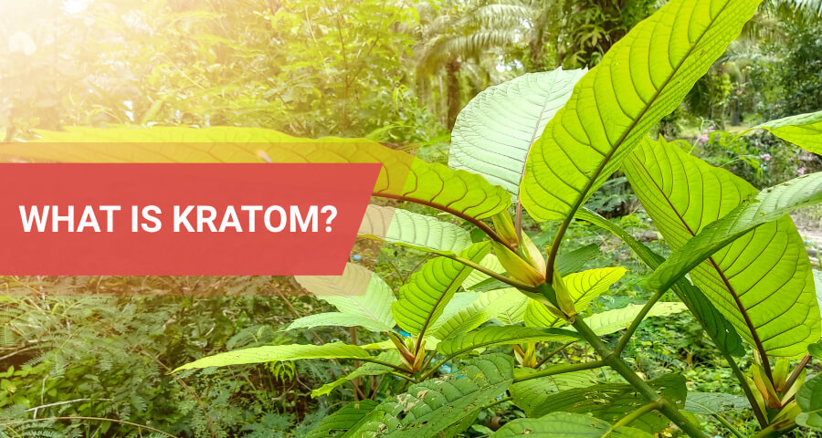 kratom abuse and addiction
