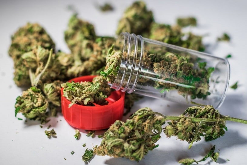 Marijuana buds near the bottle.