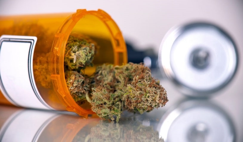 Medical marijuana with dry buds.