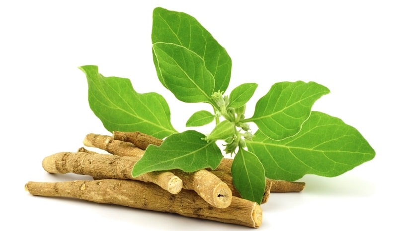 Ashwagandha Dry Root.