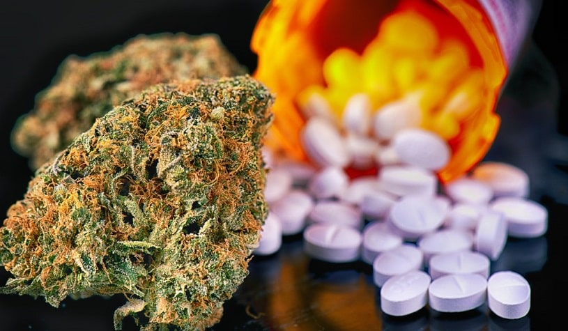 Marijuana buds and percocet pills.