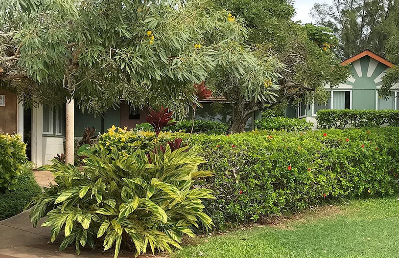 Bobby Benson Center Hawaii