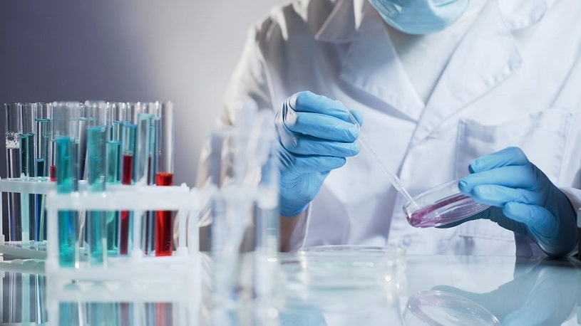 Lab assistant checking test results.
