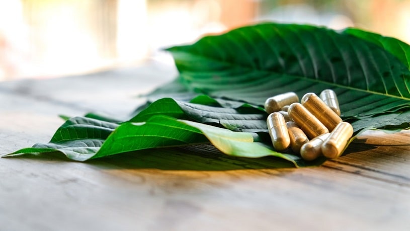Kratom capsules on Kratom leaves.