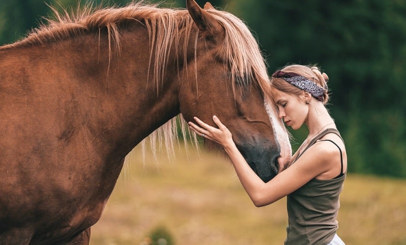 Young girl hugging a horse outdoors.