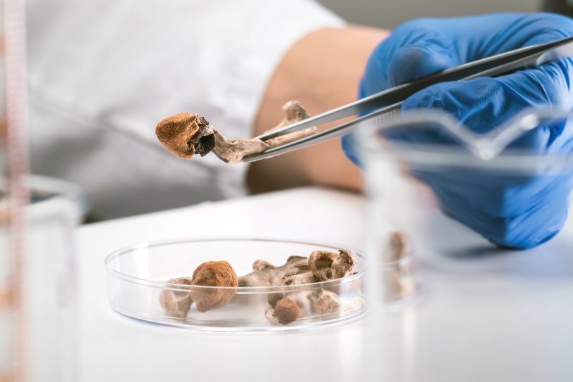 Scientist researches psilocybin