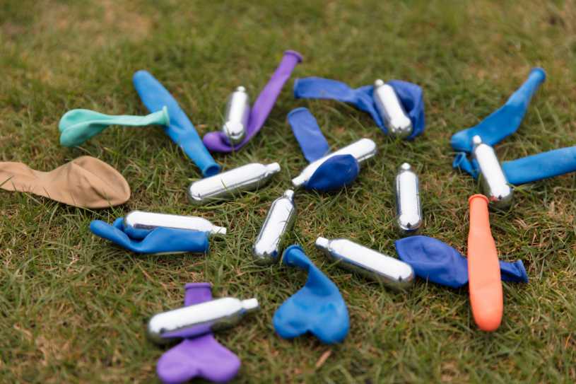 Whippets drugs on the grass.