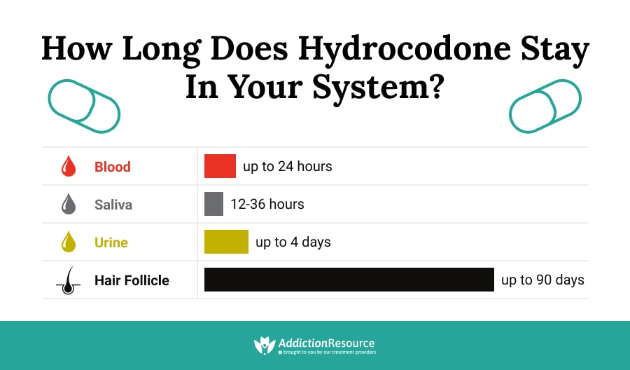 How Long Does Hydrocodone Stay in Your System?