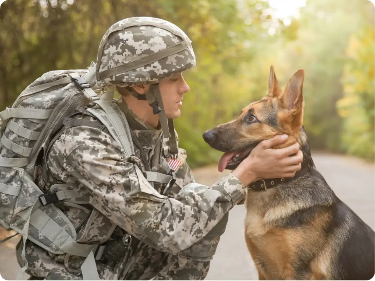 Rescue Mission: Veteran Support Groups