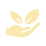 Environment Icon